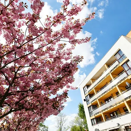 Mizu - Grey Apartment Kolobrzeg